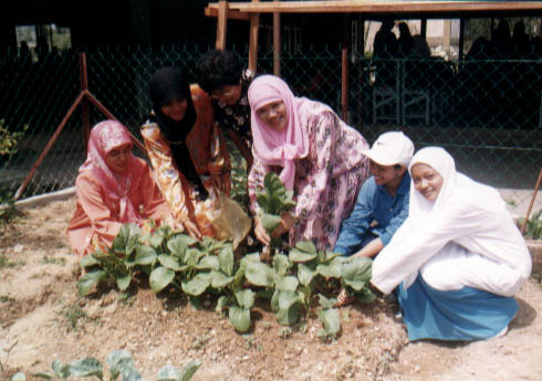 hasil1.jpg (49639 bytes)