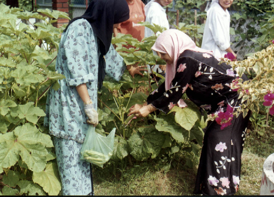 hasil3.jpg (149937 bytes)